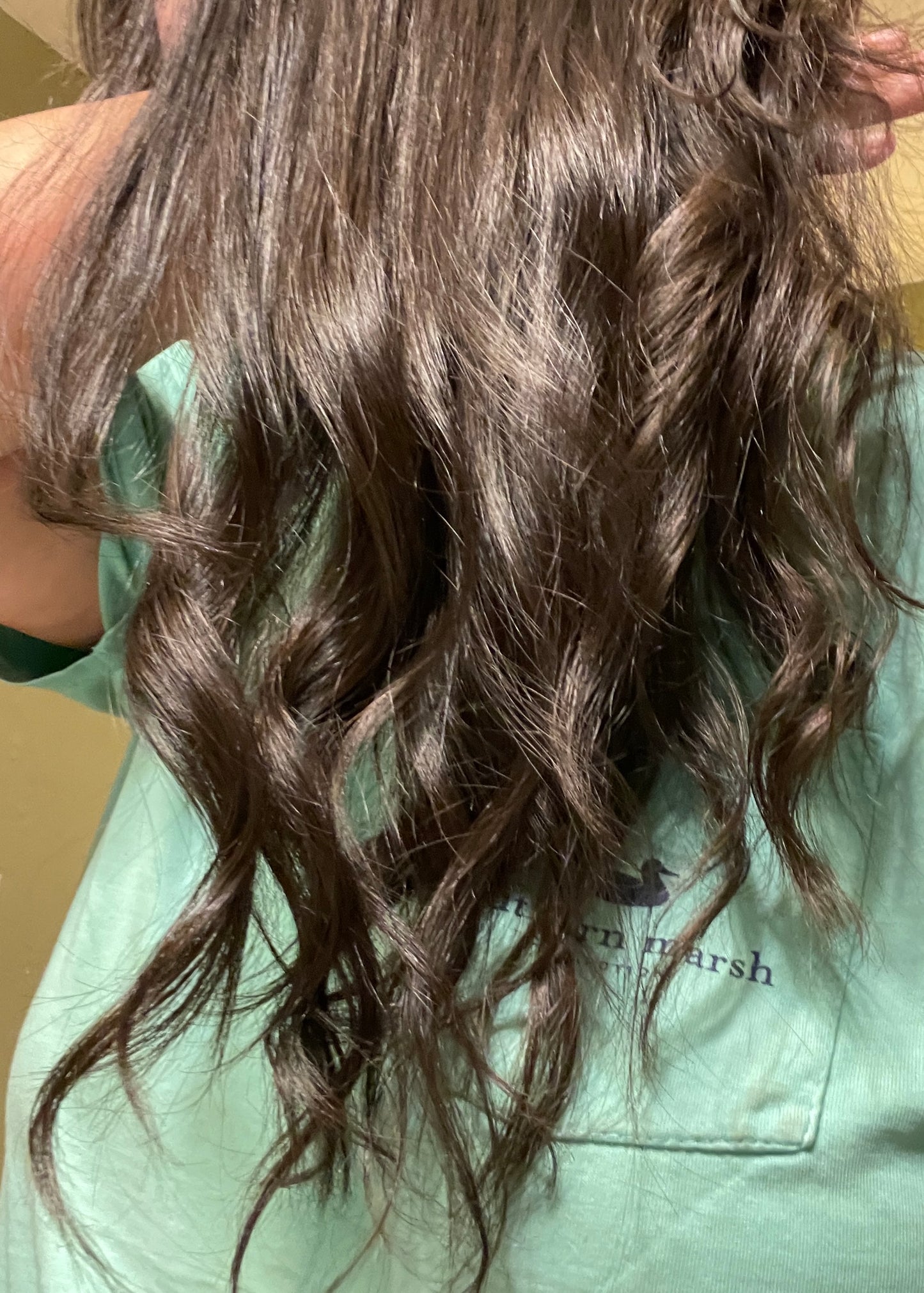 Hair Conditioner Bars